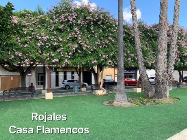 ロハレス Casa Flamencosヴィラ エクステリア 写真